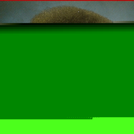Bob Ross Photo 3