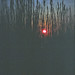 Sandy Reed Photo 11