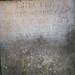 Ann Forman Photo 10