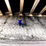 Steven Bruce Photo 23