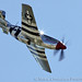 Andrew Snodgrass Photo 22