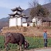Jia Deng Photo 19