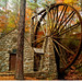 Lori Mills Photo 15