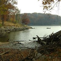 Terry Lange Photo 9