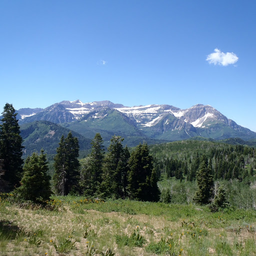 Robert Pyles Photo 21