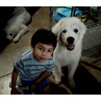 Frances Strickland Photo 4