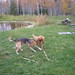 Ruby Oliver Photo 12