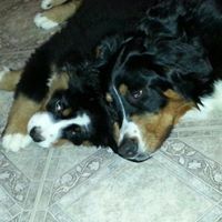 Judy Welch Photo 14