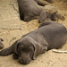 Lois Weeks Photo 9