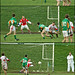 Daniel Mahony Photo 18