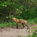 Karen Goad Photo 12