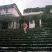 Erica Temple Photo 9