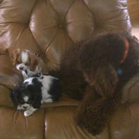 Margaret Dougherty Photo 23