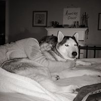 Lisa Pickett Photo 26