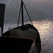 Steve Shepherd Photo 27