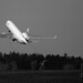 Douglas Hahn Photo 26