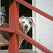 Christine Felix Photo 15