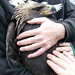 Todd Plummer Photo 6