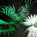 Janet Aitken Photo 22