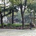 Nan Lin Photo 20