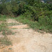 Wu Tsai Photo 12