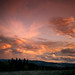 Steven Meadows Photo 16