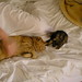 Robin Spaulding Photo 15