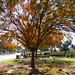 Autumn Francis Photo 14