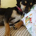 Theodore Baxter Photo 13
