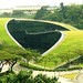 Truong Mai Photo 7