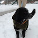 Cori Brown Photo 28