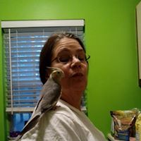 Debbie Mathews Photo 23