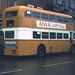 Dennis Roe Photo 19