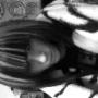 Heather Goble Photo 14