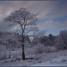 Milton Winters Photo 3