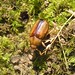 Jean Summers Photo 9