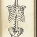 William Bone Photo 13
