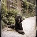 Julian Gray Photo 35