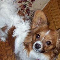 Rhonda Pearce Photo 6
