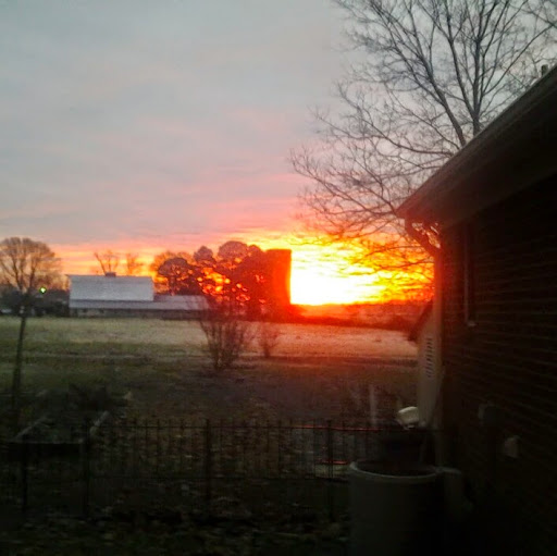 Peggy Yoder Photo 15