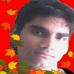 Zubair Ansari Photo 8