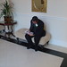Brian O'Toole Photo 16