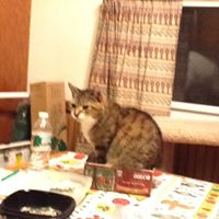 Margaret Nation Photo 6