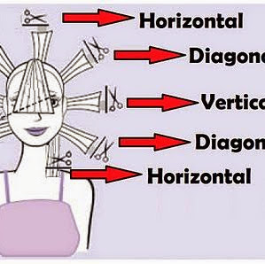 Duarte Rocha Photo 22