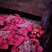 Carl Glover Photo 30