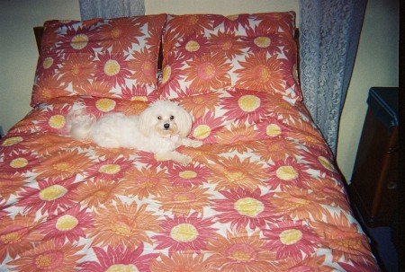 Marilyn Hunt Photo 10
