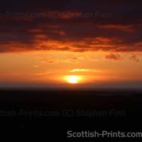 Paula Allan Photo 23