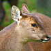 Mark Howlett Photo 14