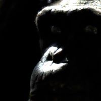 David Debord Photo 31