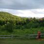 Laura Thurston Photo 16